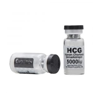 HCG-EVOLUTION-2025-1996 new